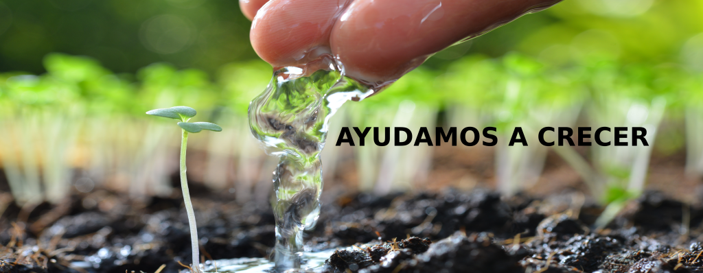 Ayudamos a crecer